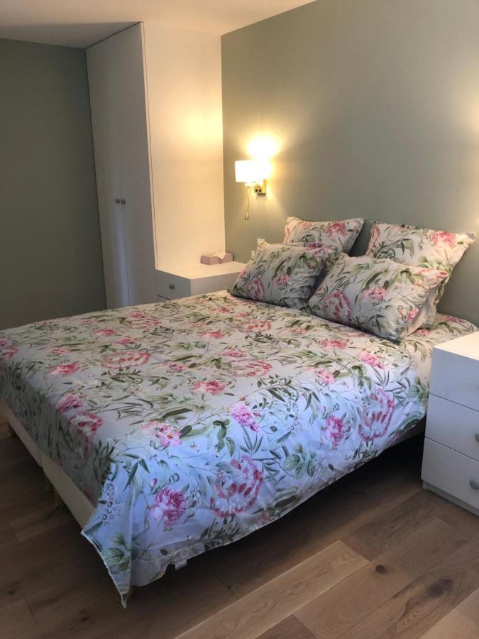 Le Colombier Apartment อานซี ภายนอก รูปภาพ